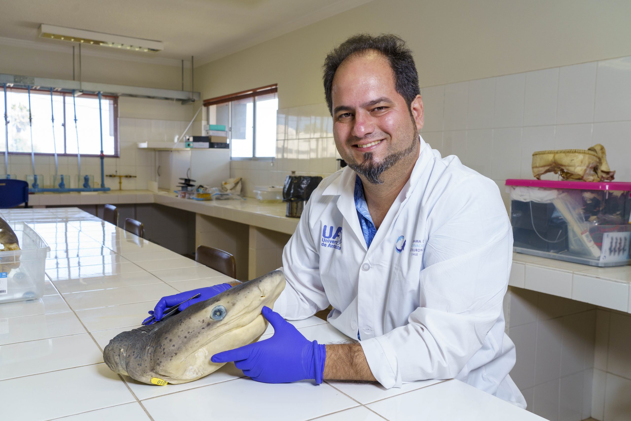 Carlos Bustamante